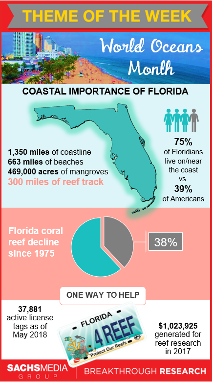Oceans Month Infographic