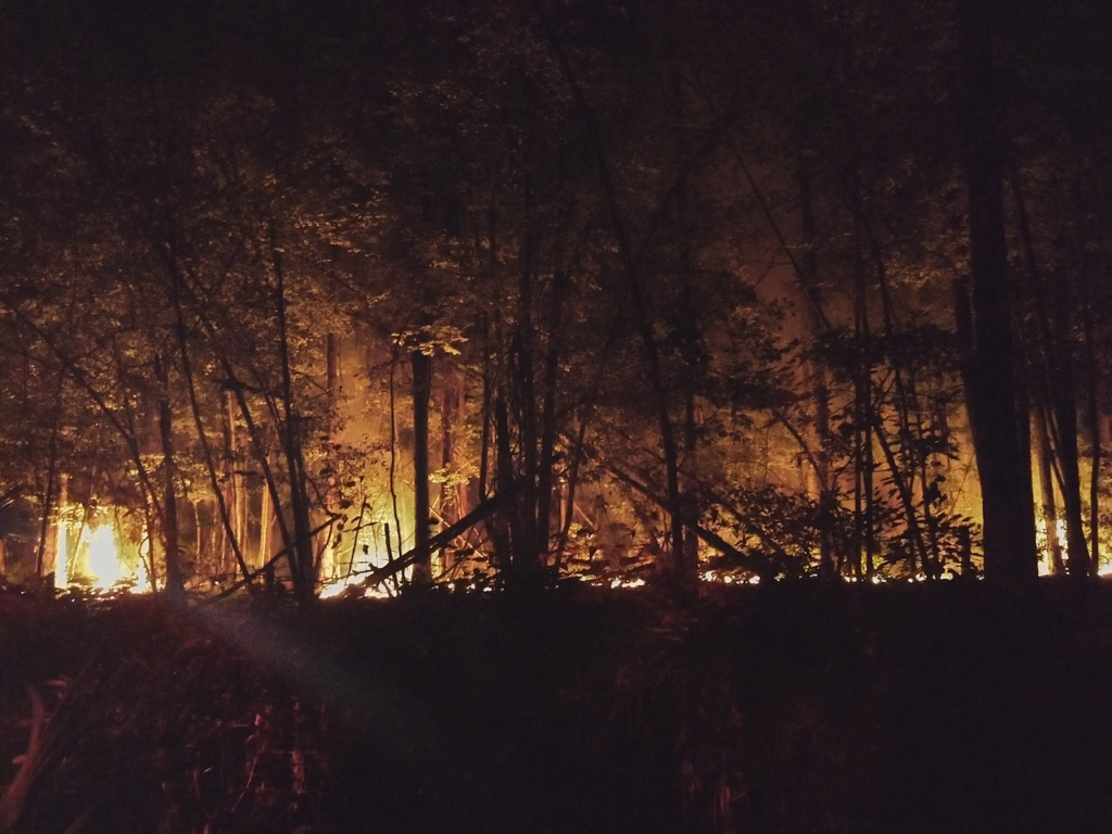 Night image of Jacksonville wildfire.