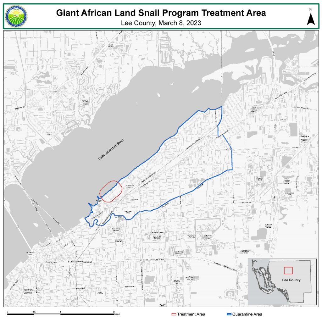 Giant African Land Snail Map Lee County