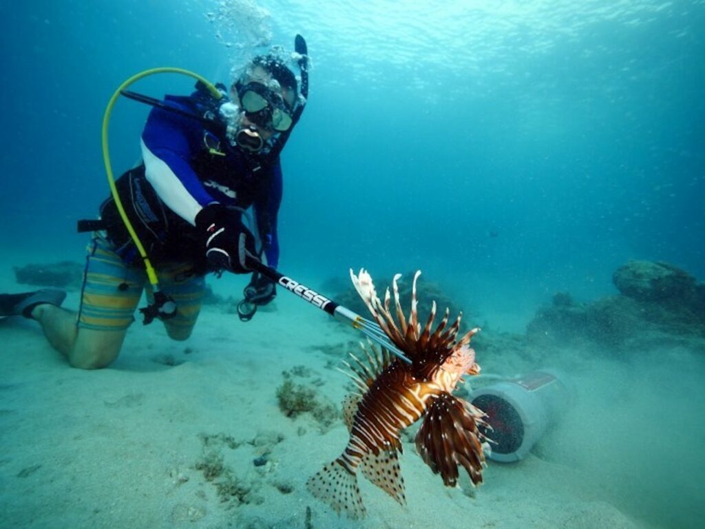 FWC announces 2023 Lionfish Challenge presented by Zookeeper